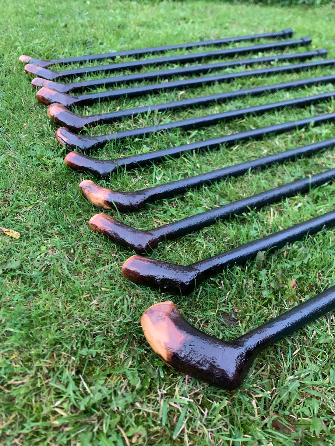 Is blackthorn good for a walking stick