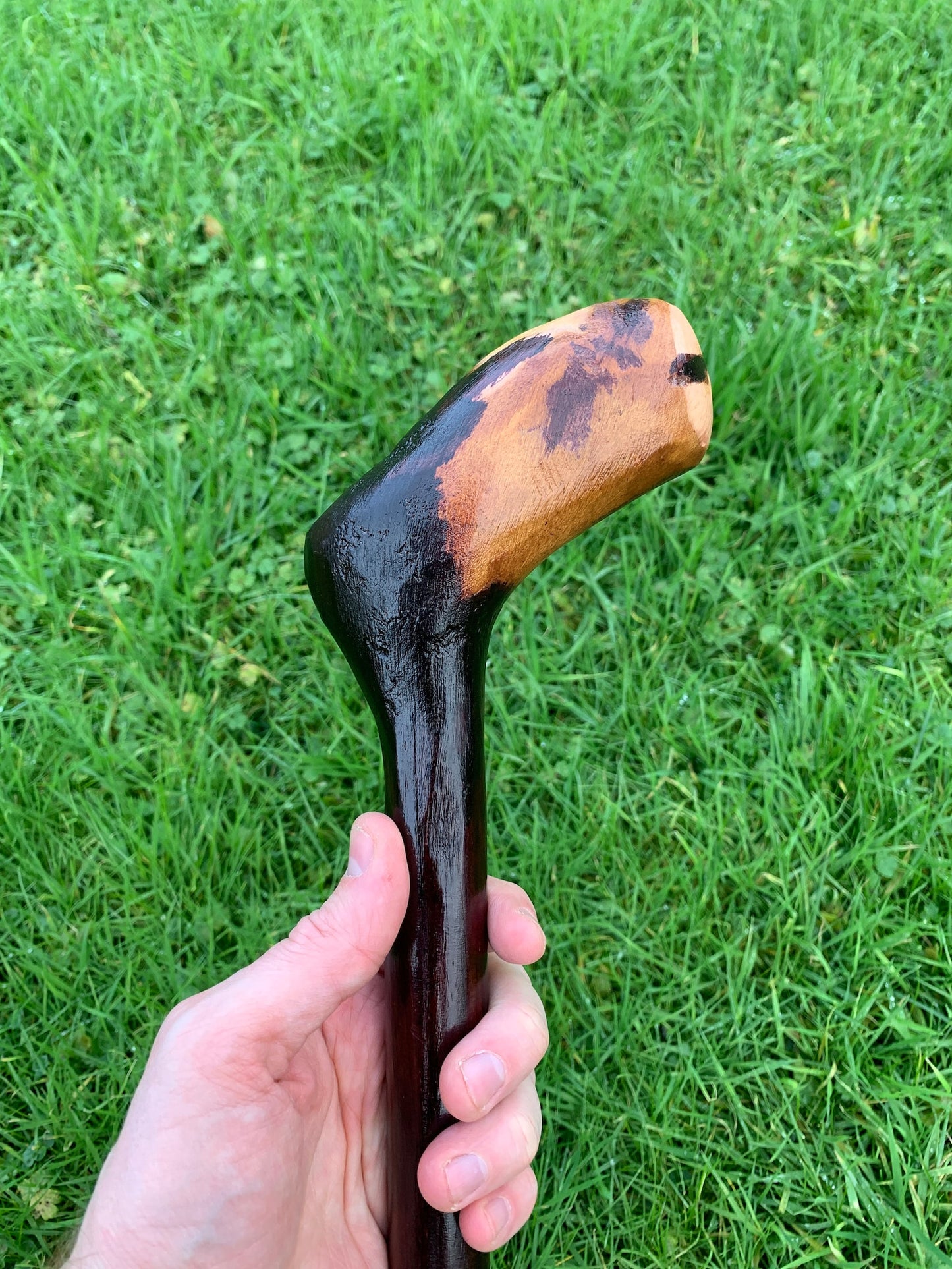 Irish Blackthorn Walking Stick | Shillelagh Cane | Wood Hiking Cane | Natural Handmade | Trekking Pole | Outdoors | Made In Ireland | Gift