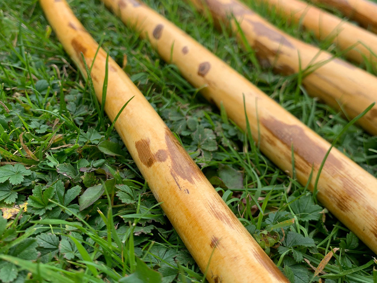 Irish Hazel Walking Stick | 36 Inches | Wood Hiking Cane | Natural Handmade | Trekking Pole | Outdoors | Made In Ireland | Gift