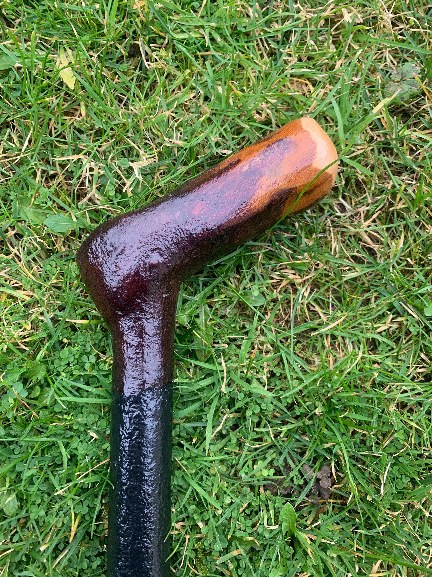 Irish Blackthorn Walking Stick | Shillelagh Cane