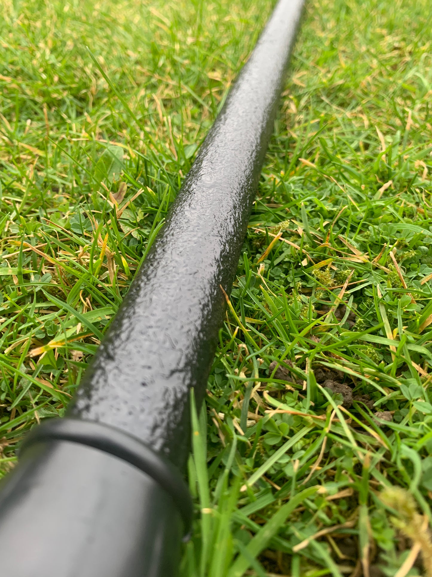 Irish Blackthorn Walking Stick | Shillelagh Cane