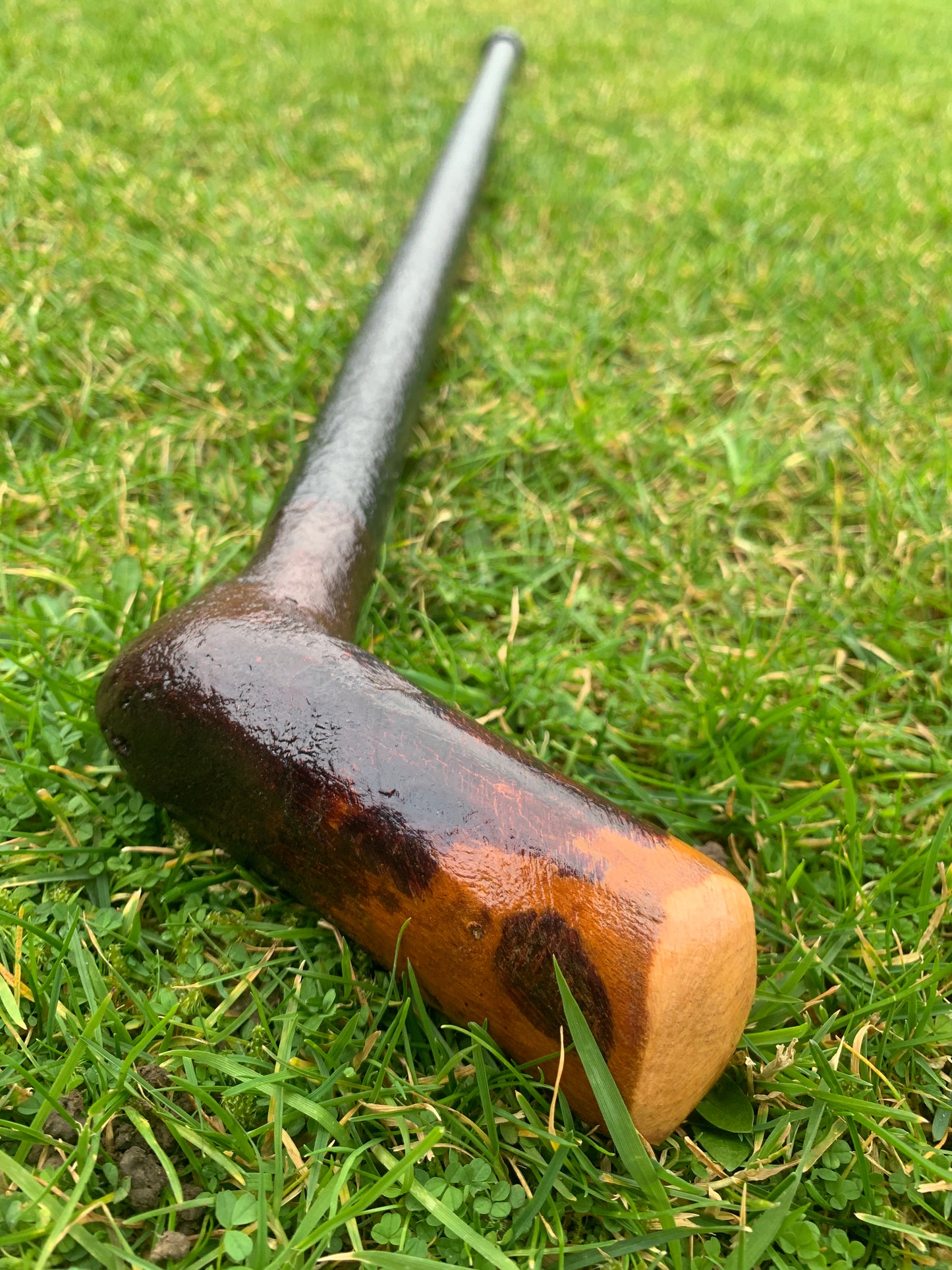 Irish Blackthorn Walking Stick | Shillelagh Cane