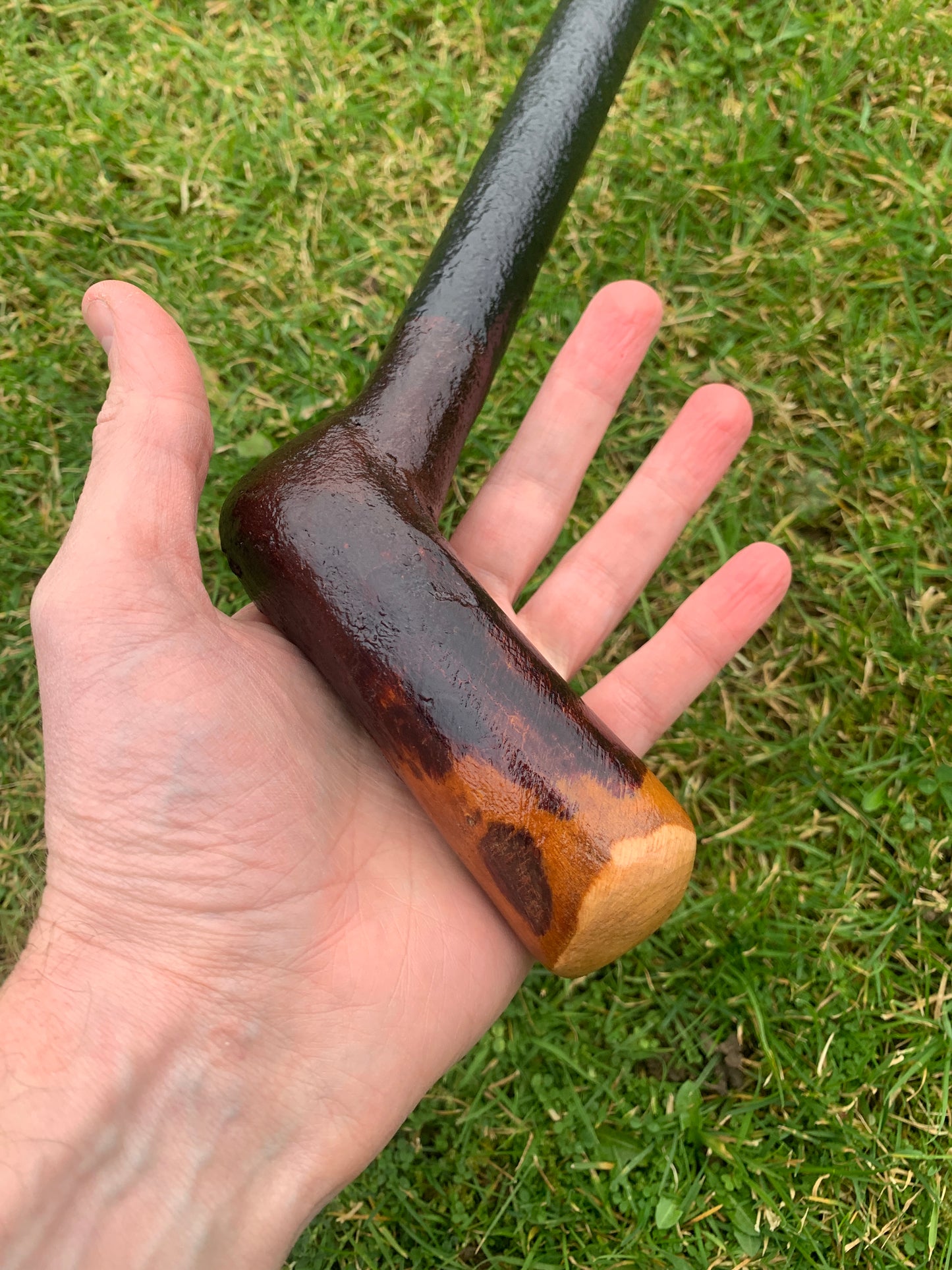 Irish Blackthorn Walking Stick | Shillelagh Cane