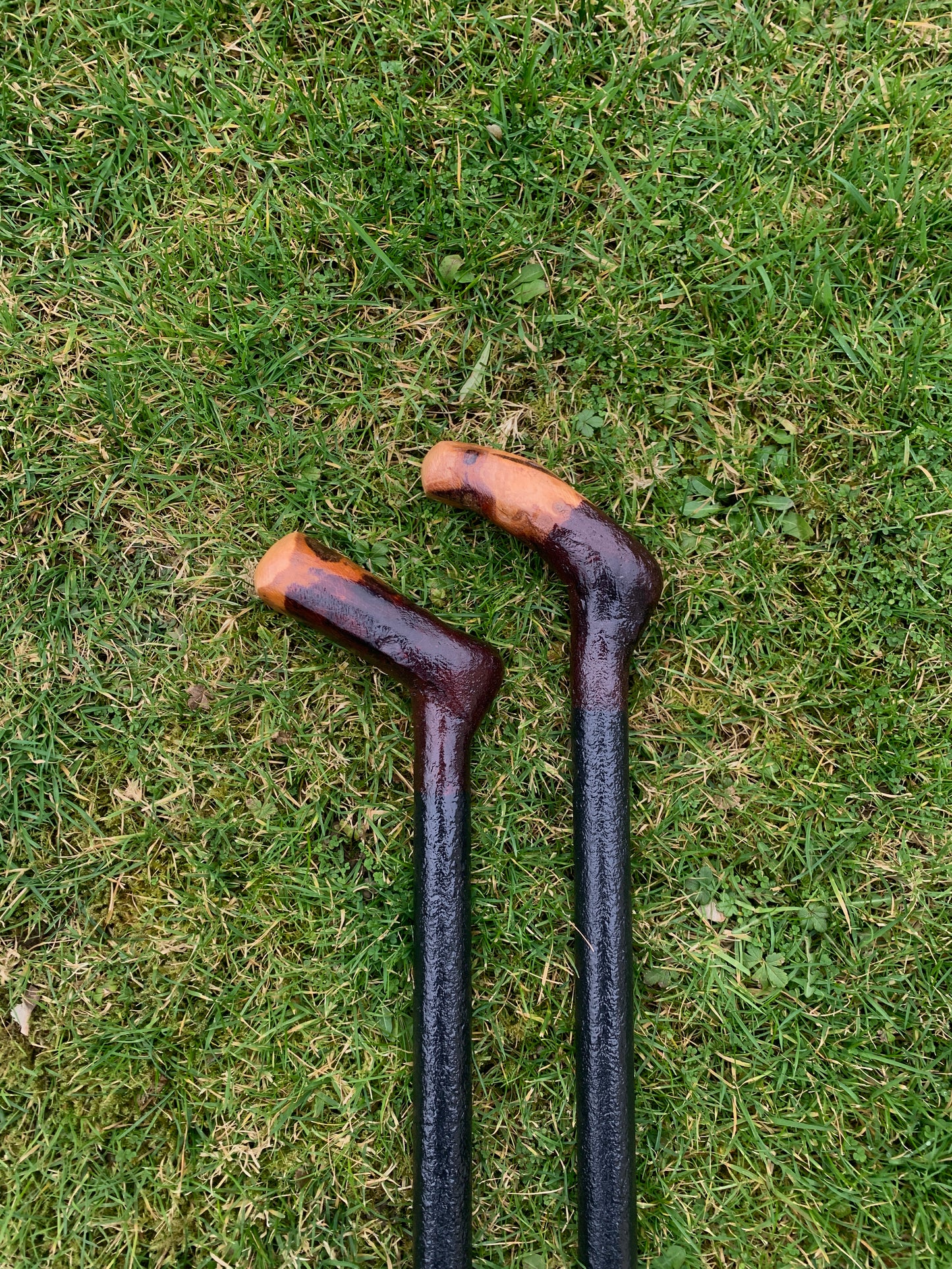 Irish Blackthorn Walking Stick | Shillelagh Cane