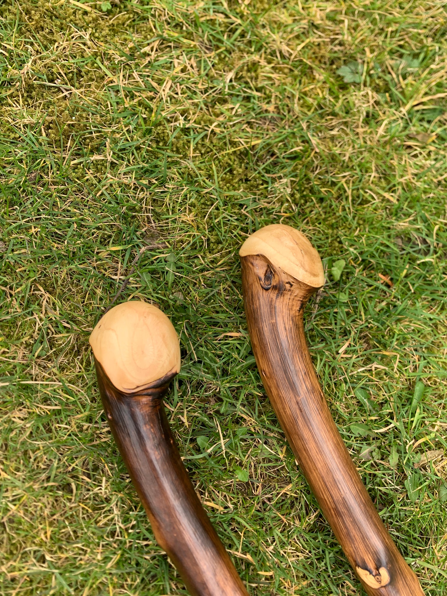 Chestnut Walking Stick | Cane | Wood Hiking Cane | Natural Handmade | Trekking Pole | Outdoors | Gift | Blackthorn