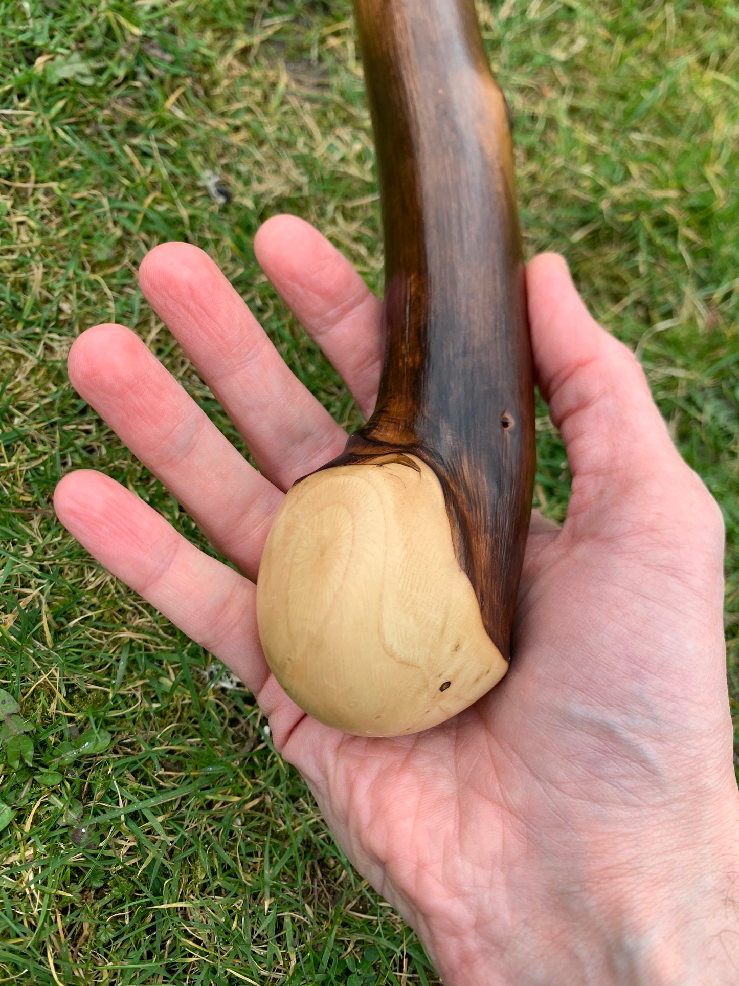 Chestnut Walking Stick | Cane | Wood Hiking Cane | Natural Handmade | Trekking Pole | Outdoors | Gift | Blackthorn
