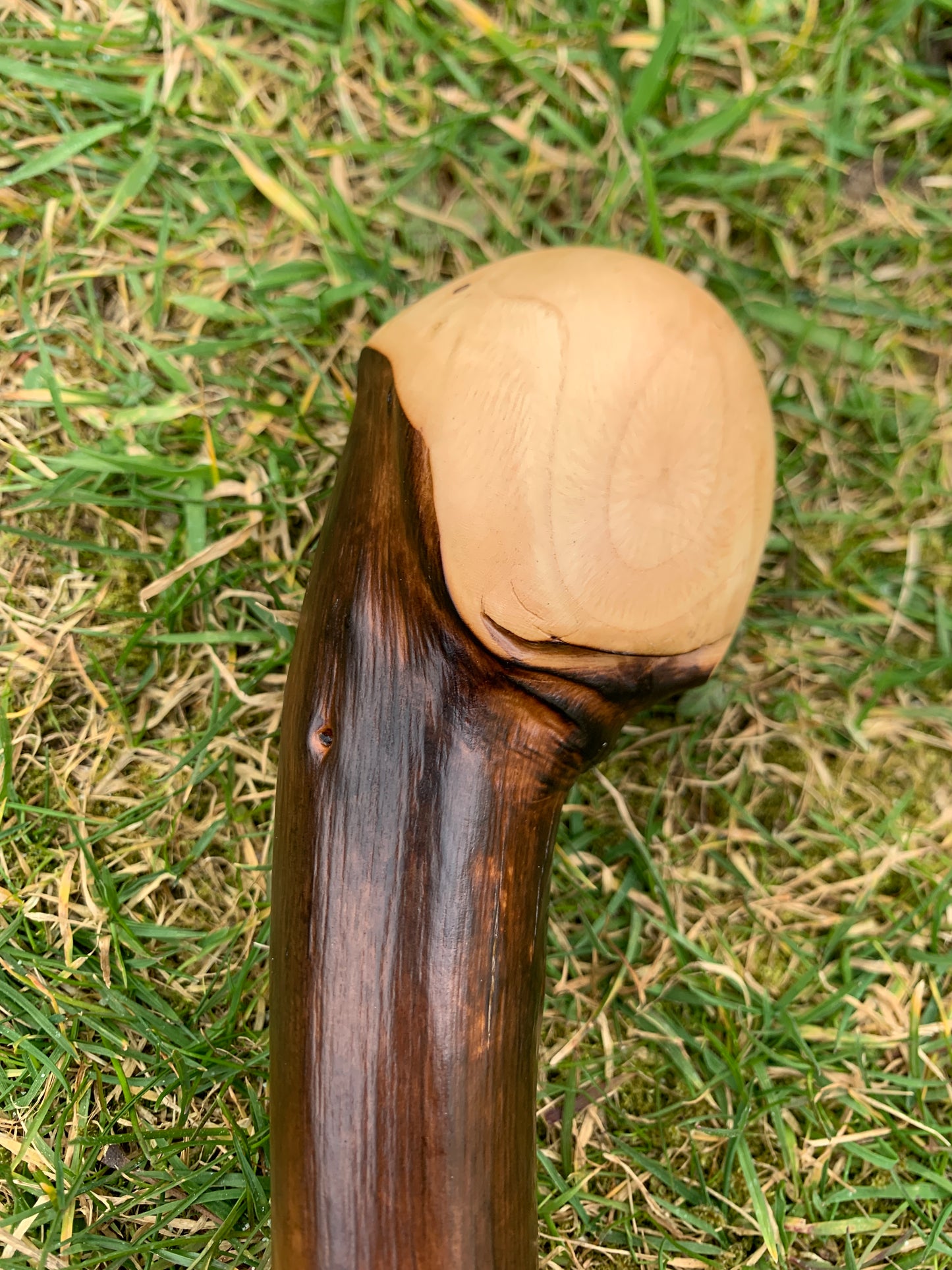 Chestnut Walking Stick | Cane | Wood Hiking Cane | Natural Handmade | Trekking Pole | Outdoors | Gift | Blackthorn