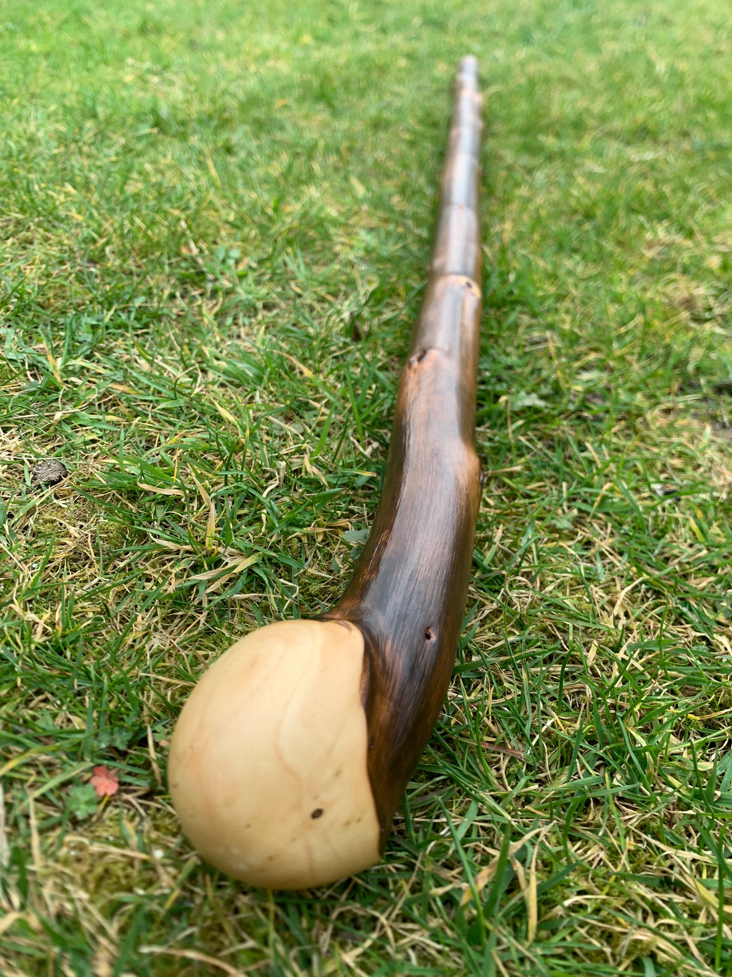 Chestnut Walking Stick | Cane | Wood Hiking Cane | Natural Handmade | Trekking Pole | Outdoors | Gift | Blackthorn
