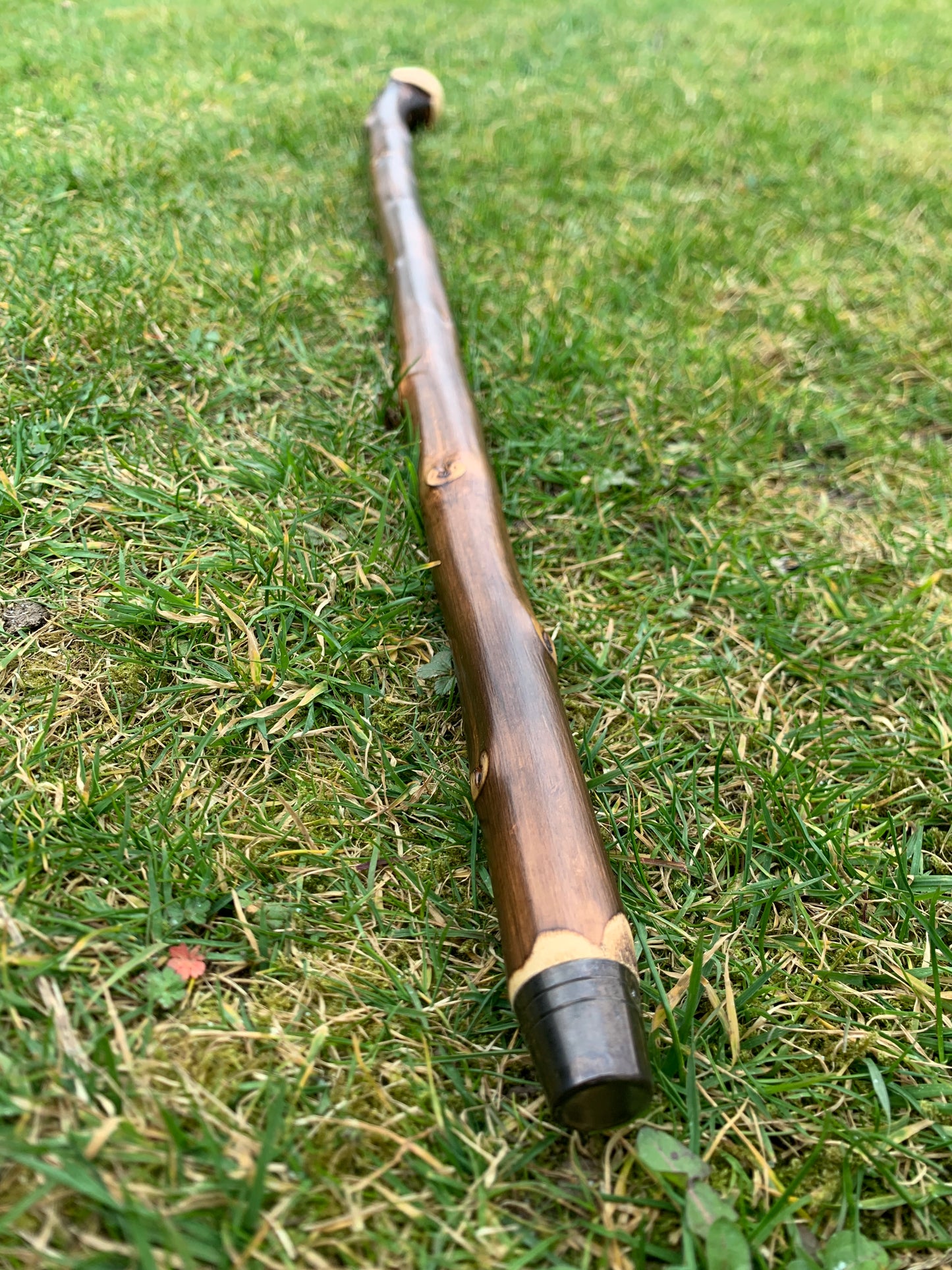 Chestnut Walking Stick | Cane | Wood Hiking Cane | Natural Handmade | Trekking Pole | Outdoors | Gift | Blackthorn