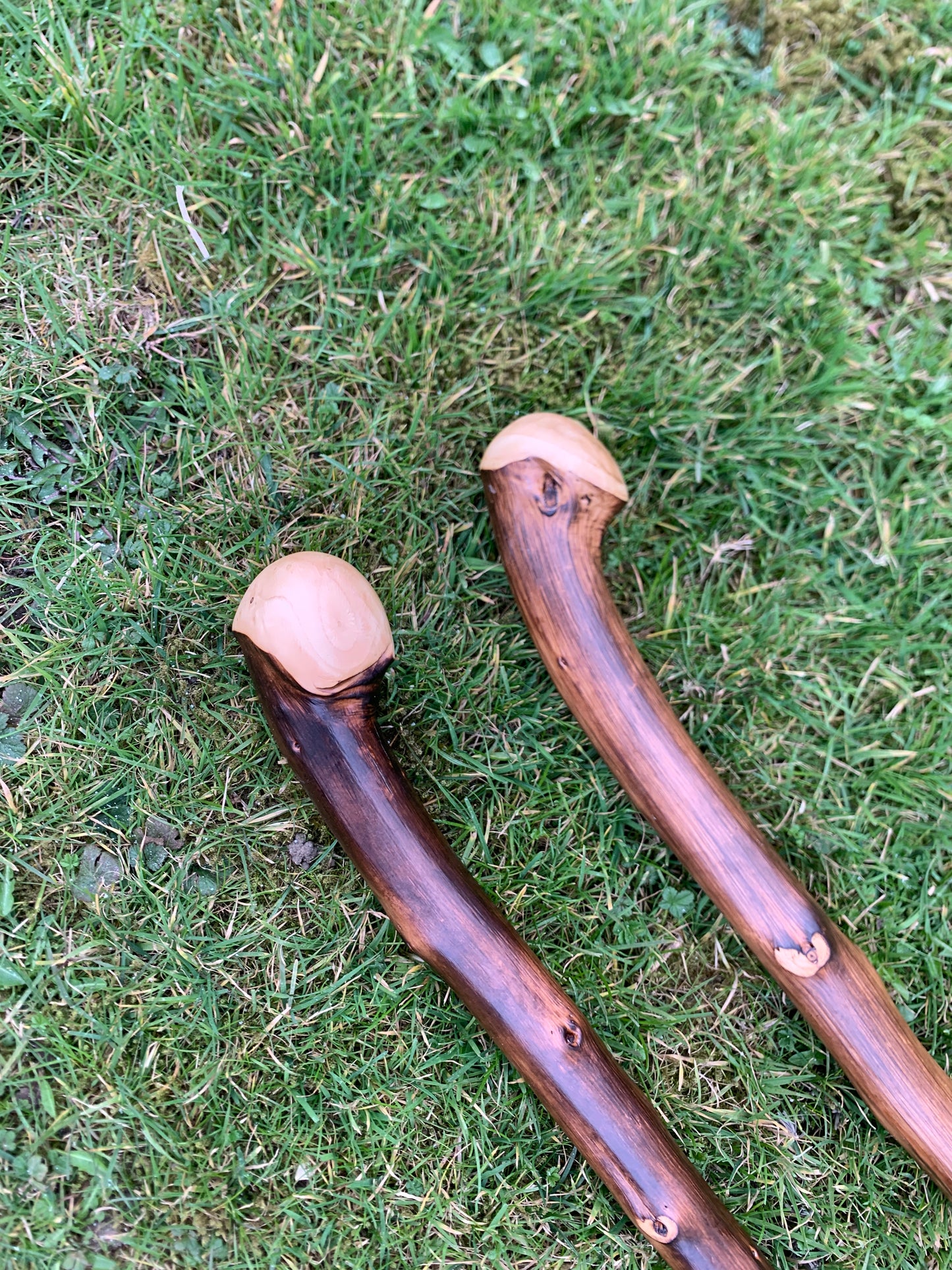 Chestnut Walking Stick | Cane | Wood Hiking Cane | Natural Handmade | Trekking Pole | Outdoors | Gift | Blackthorn