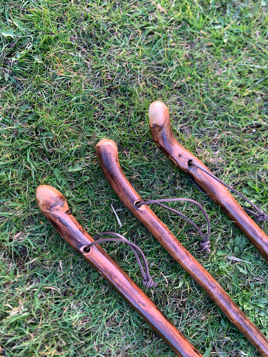 Chestnut Walking Stick | Cane | Wood Hiking Cane | Natural Handmade | Trekking Pole | Outdoors | Gift | Blackthorn