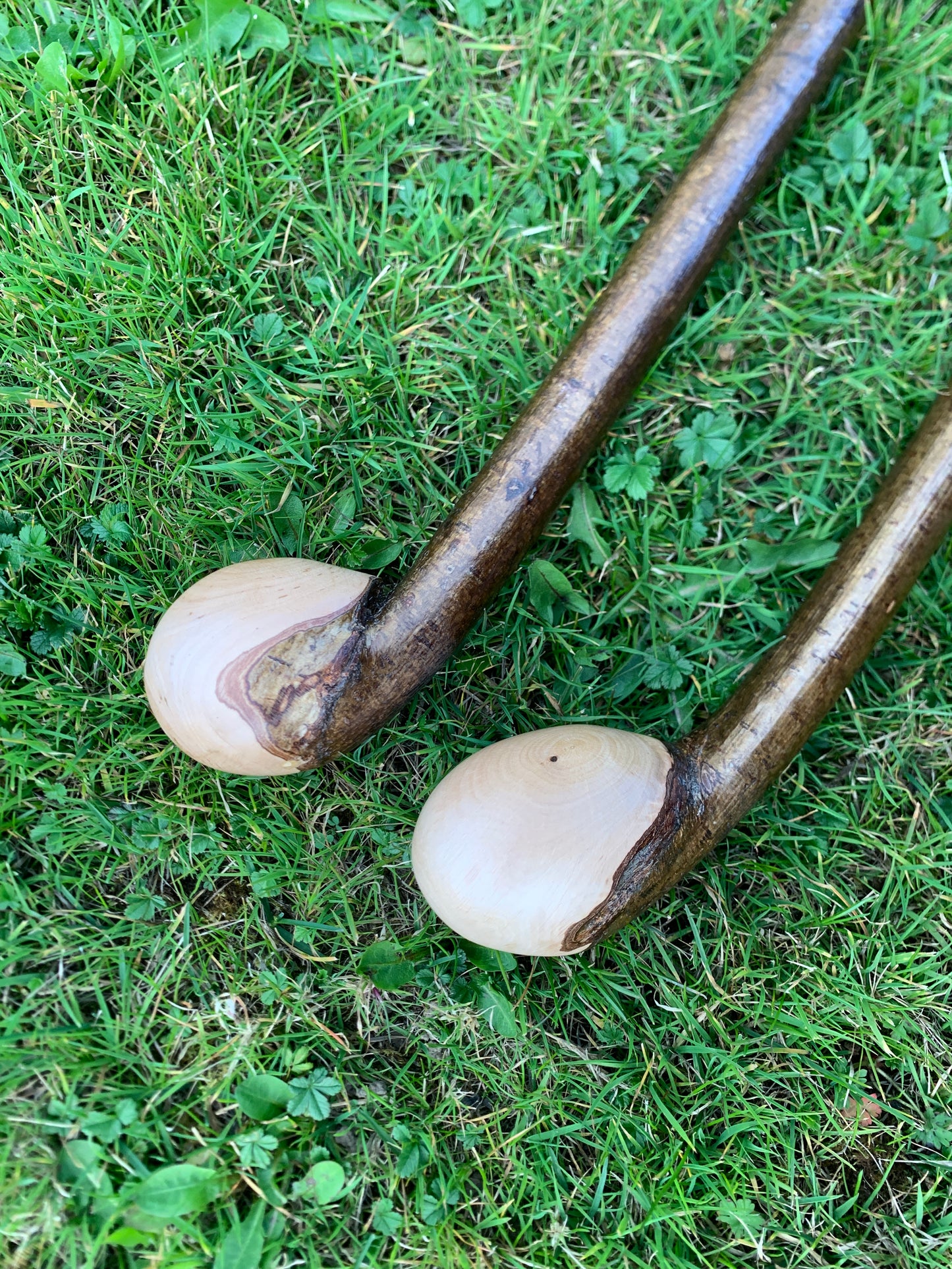 Hazel Walking Stick | Cane | Wood Hiking Cane | Natural Handmade | Trekking Pole | Outdoors | Gift | Blackthorn