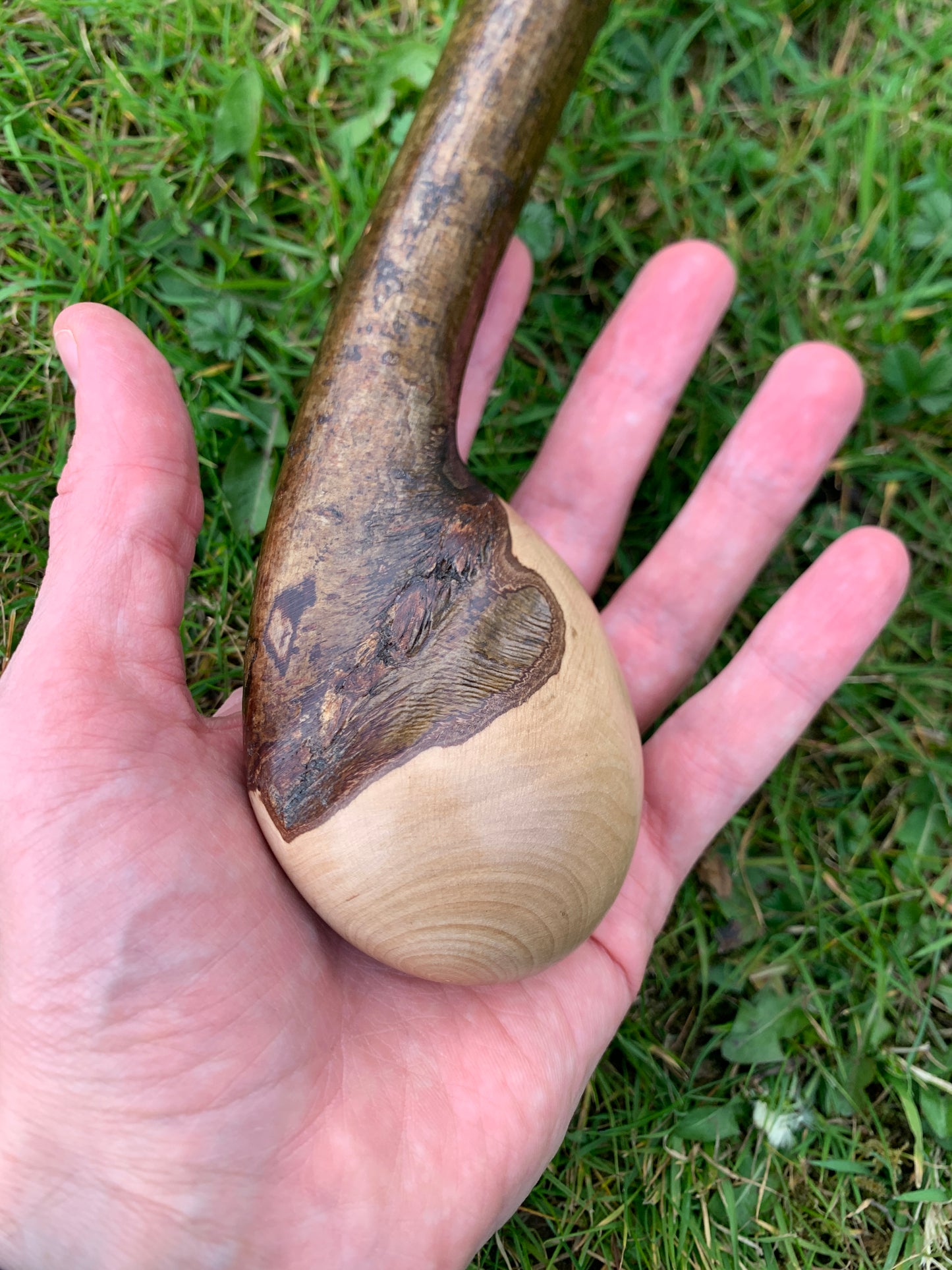 Hazel Walking Stick | Cane | Wood Hiking Cane | Natural Handmade | Trekking Pole | Outdoors | Gift | Blackthorn