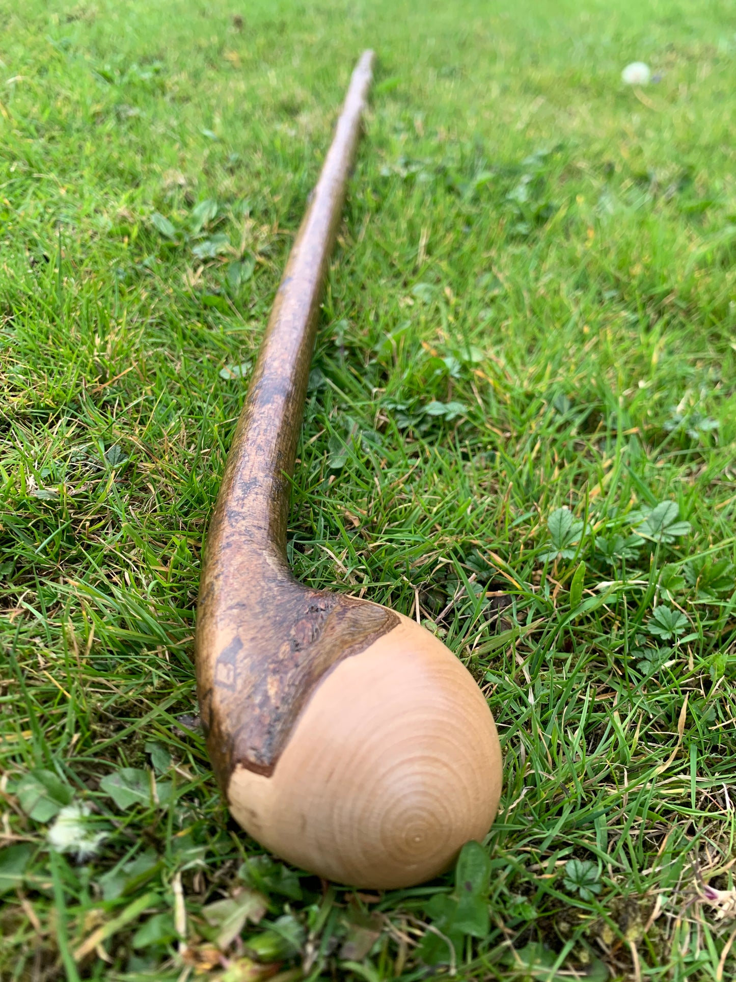Hazel Walking Stick | Cane | Wood Hiking Cane | Natural Handmade | Trekking Pole | Outdoors | Gift | Blackthorn