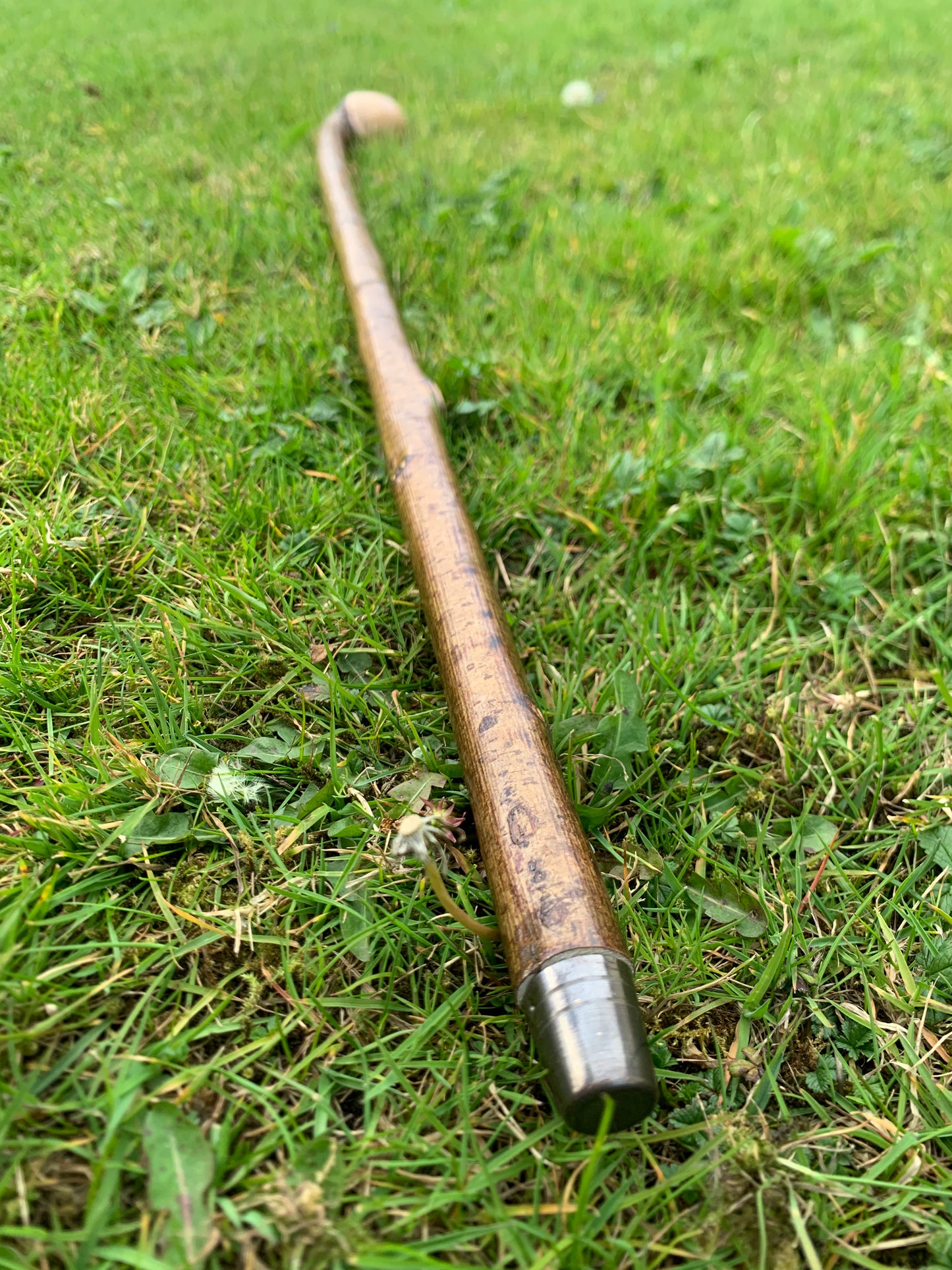 Hazel Walking Stick | Cane | Wood Hiking Cane | Natural Handmade | Trekking Pole | Outdoors | Gift | Blackthorn