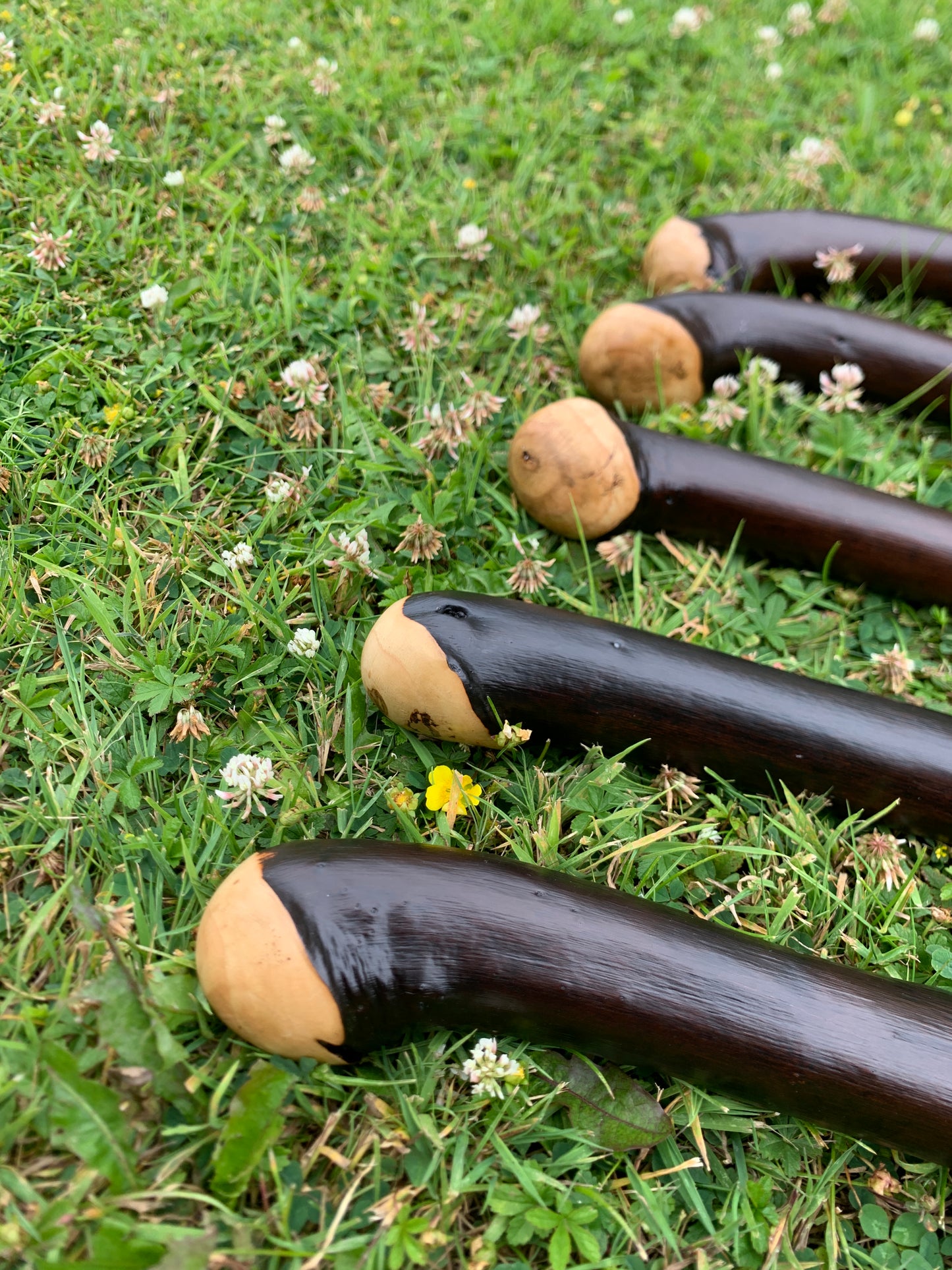 Chestnut Walking Stick | Cane | Wood Hiking Cane | Natural Handmade | Trekking Pole | Outdoors | Gift | Blackthorn