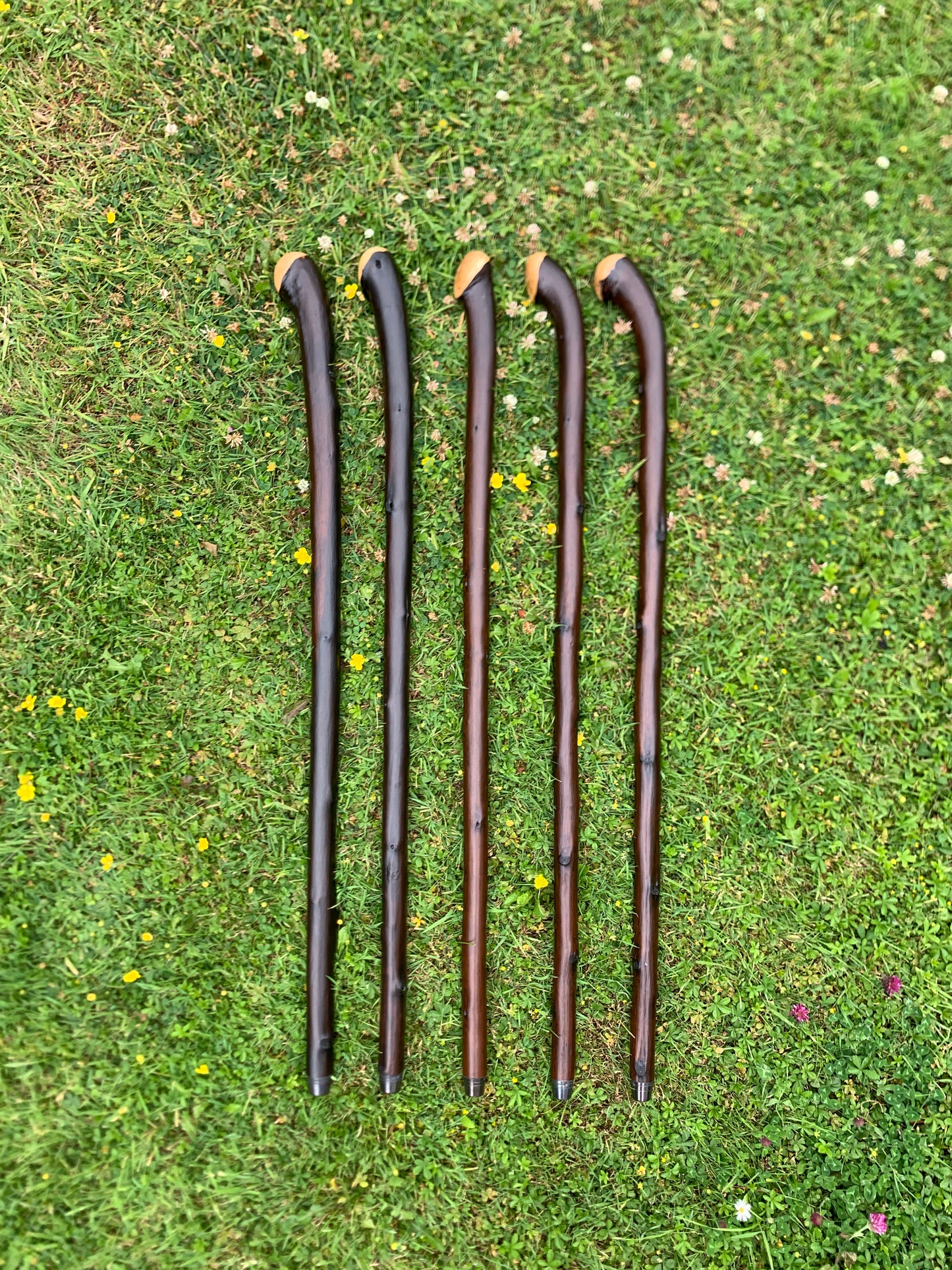 Chestnut Walking Stick | Cane | Wood Hiking Cane | Natural Handmade | Trekking Pole | Outdoors | Gift | Blackthorn