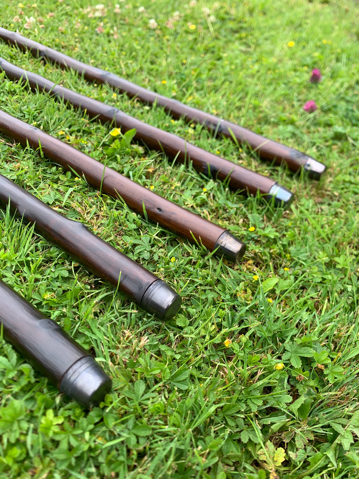 Chestnut Walking Stick | Cane | Wood Hiking Cane | Natural Handmade | Trekking Pole | Outdoors | Gift | Blackthorn