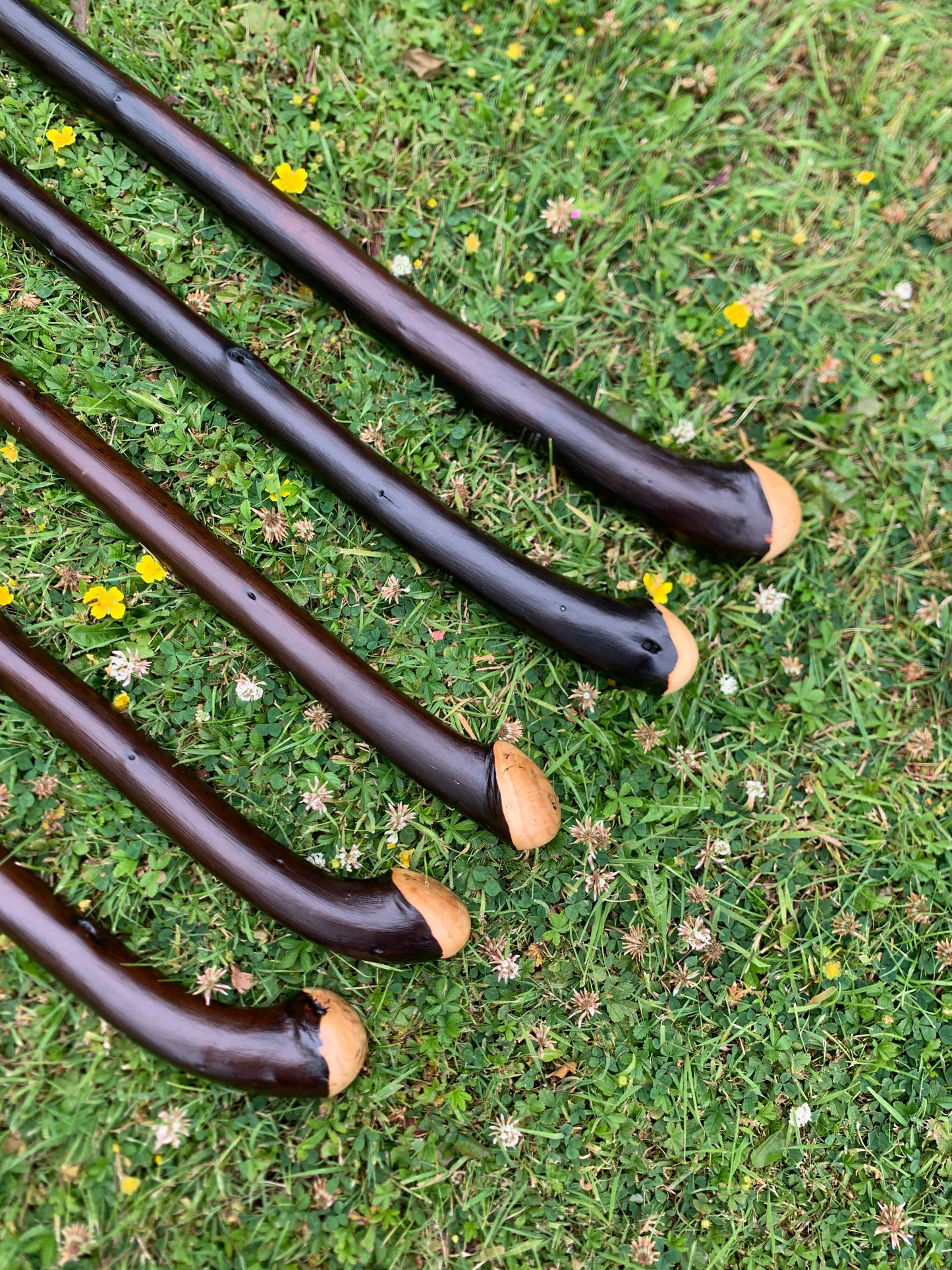 Chestnut Walking Stick | Cane | Wood Hiking Cane | Natural Handmade | Trekking Pole | Outdoors | Gift | Blackthorn