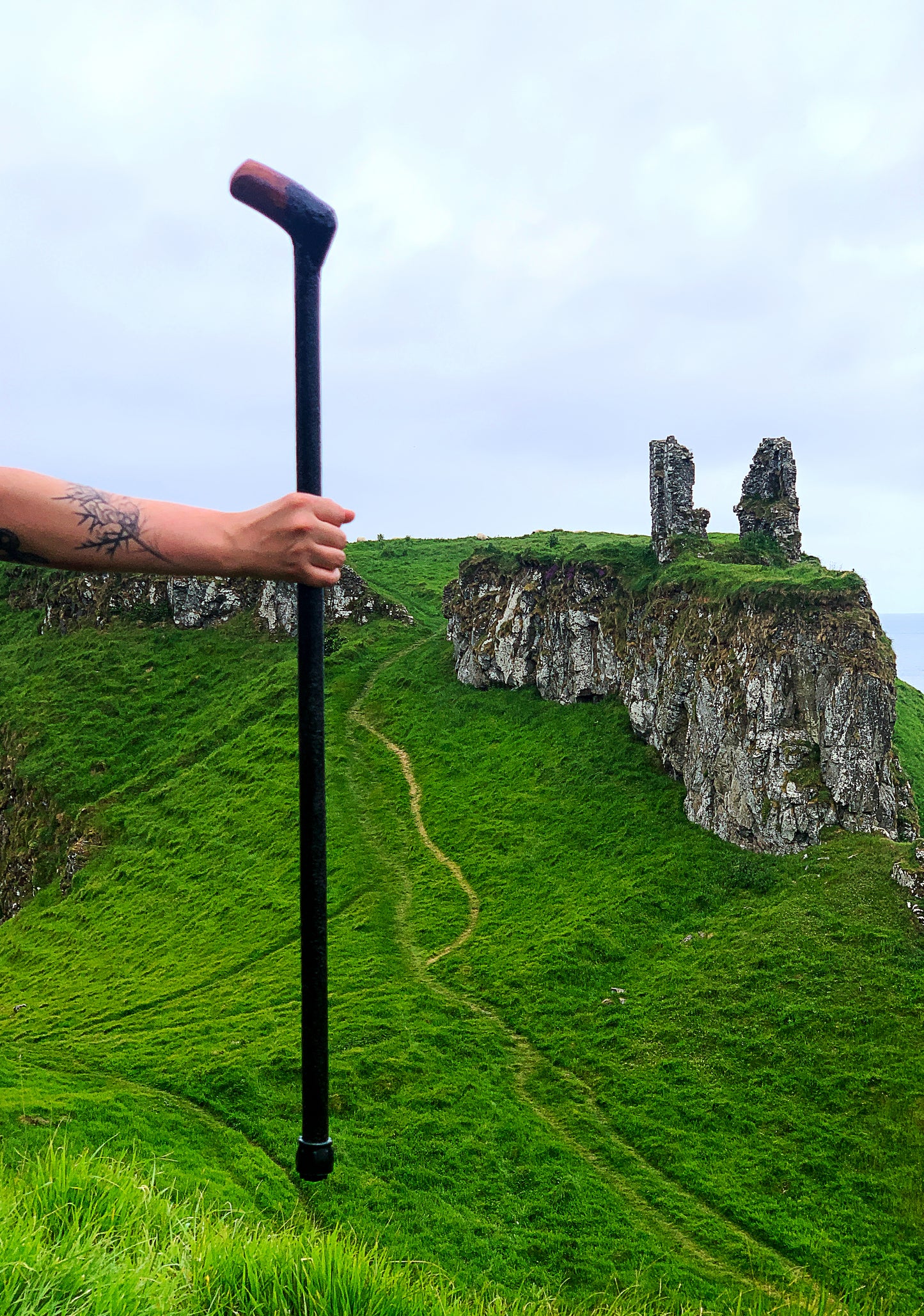 Irish Blackthorn Walking Stick | Shillelagh Cane