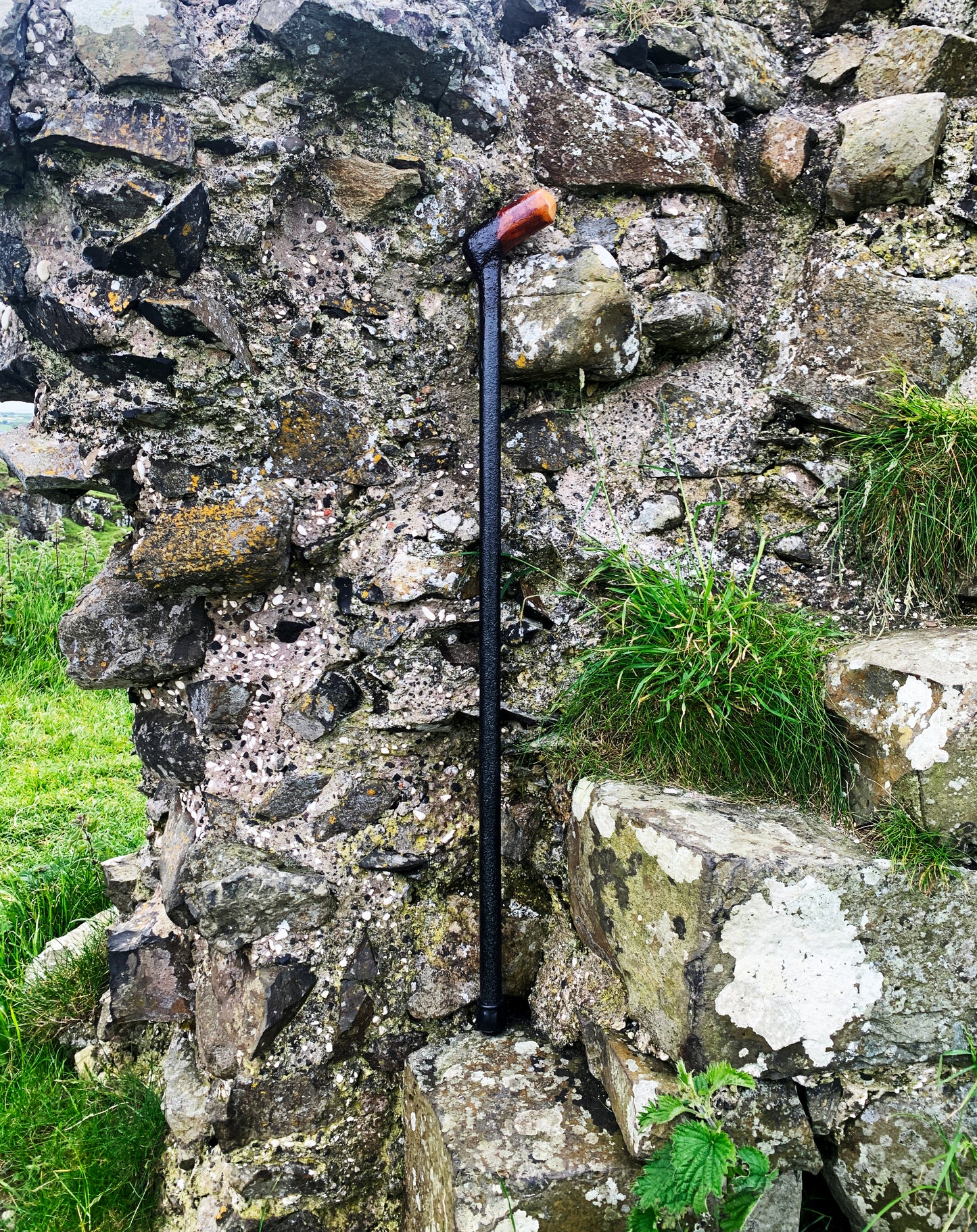 Irish Blackthorn Walking Stick | Shillelagh Cane