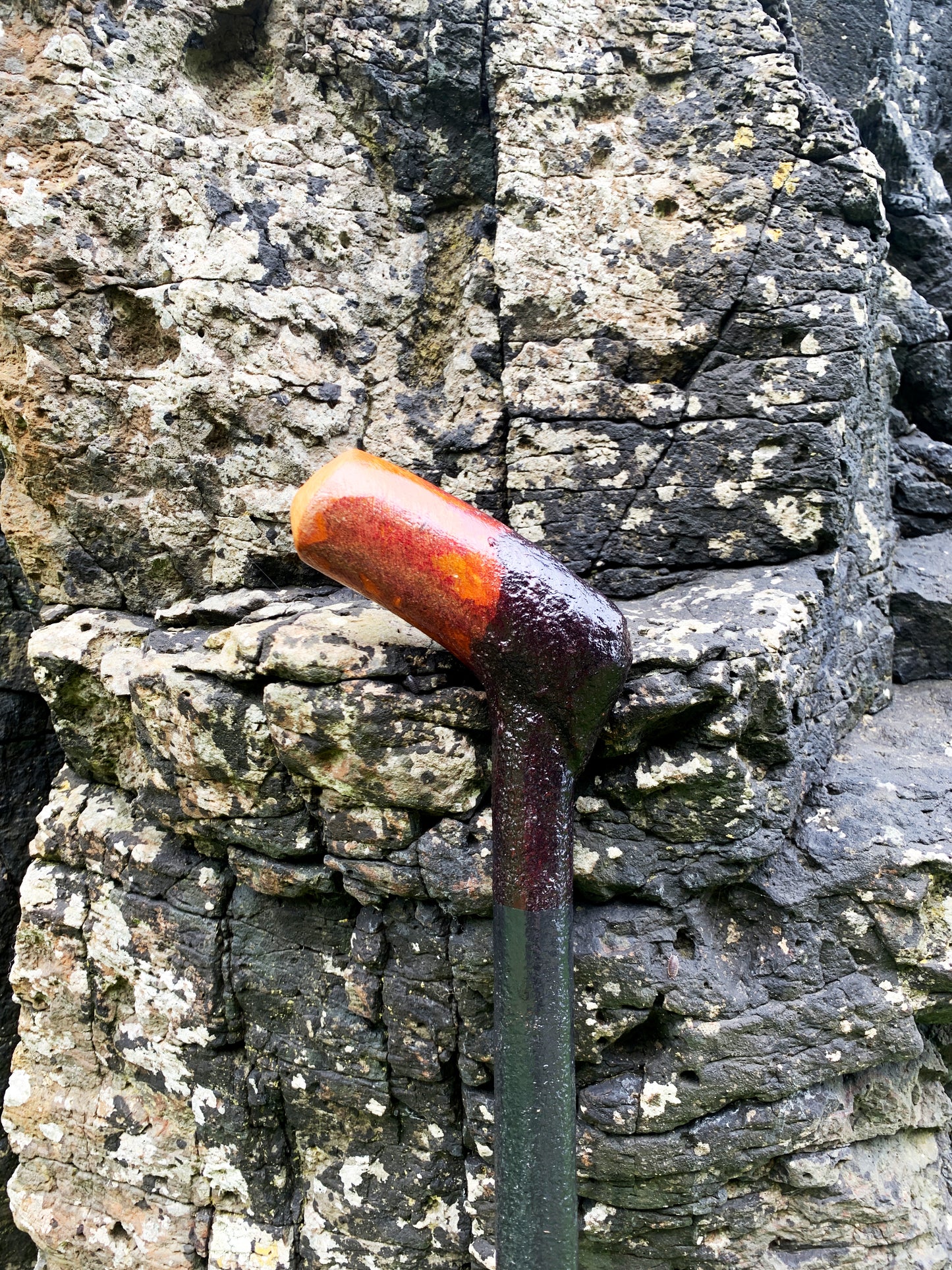 Irish Blackthorn Walking Stick | Shillelagh Cane