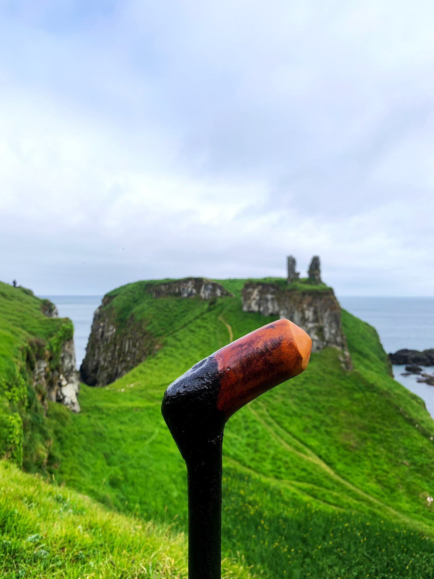 Irish Blackthorn Walking Stick | Shillelagh Cane