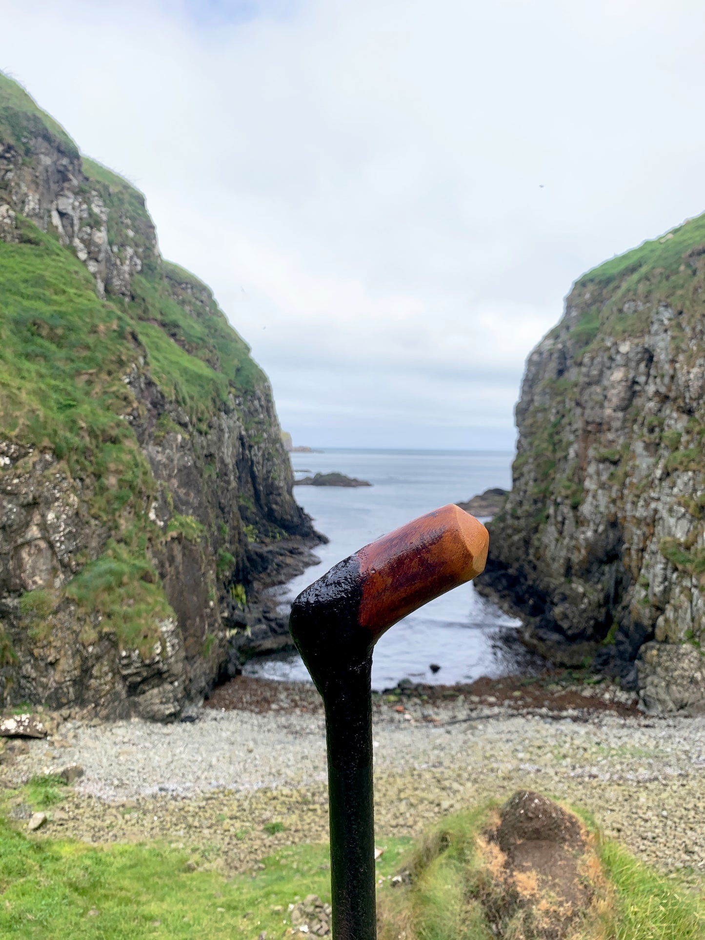 Irish Blackthorn Walking Stick | Shillelagh Cane