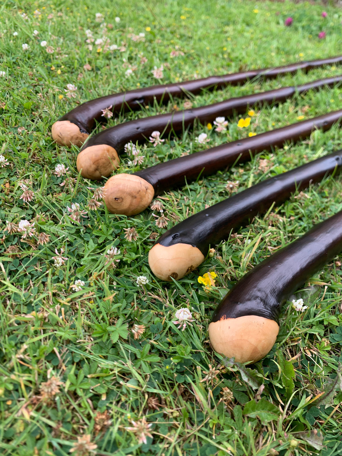 Irish Blackthorn Walking Sticks & Shillelaghs – Kinsale Crafts