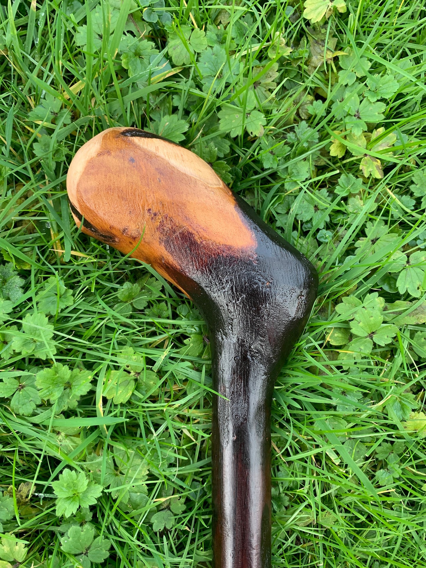 Irish Blackthorn Walking Stick | Shillelagh Cane | Wood Hiking Cane | Natural Handmade | Trekking Pole | Outdoors | Made In Ireland | Gift