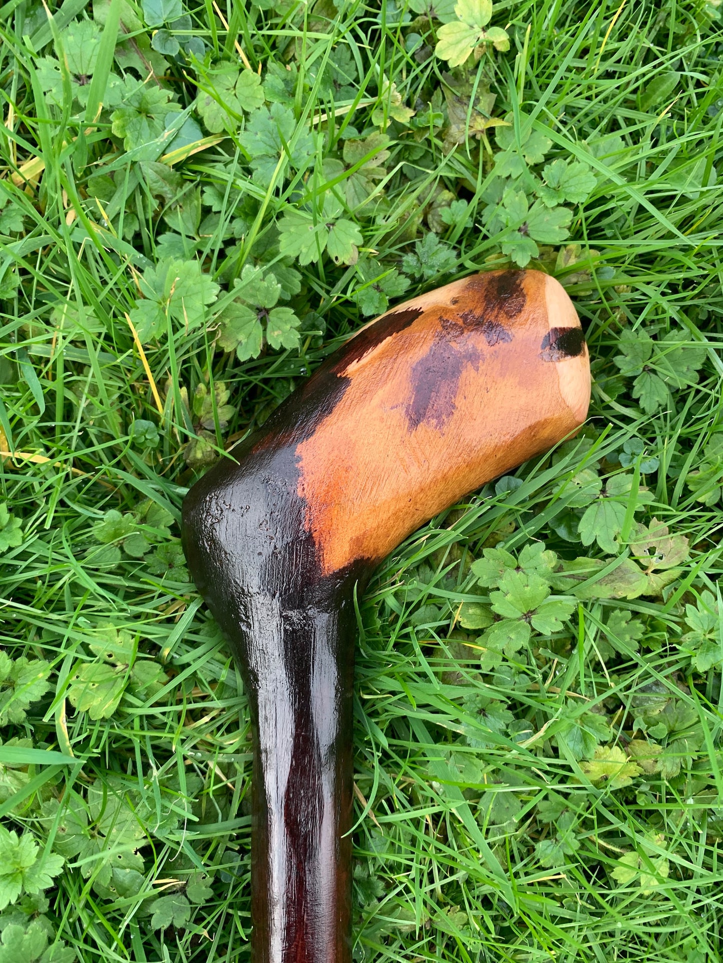 Irish Blackthorn Walking Stick | Shillelagh Cane | Wood Hiking Cane | Natural Handmade | Trekking Pole | Outdoors | Made In Ireland | Gift