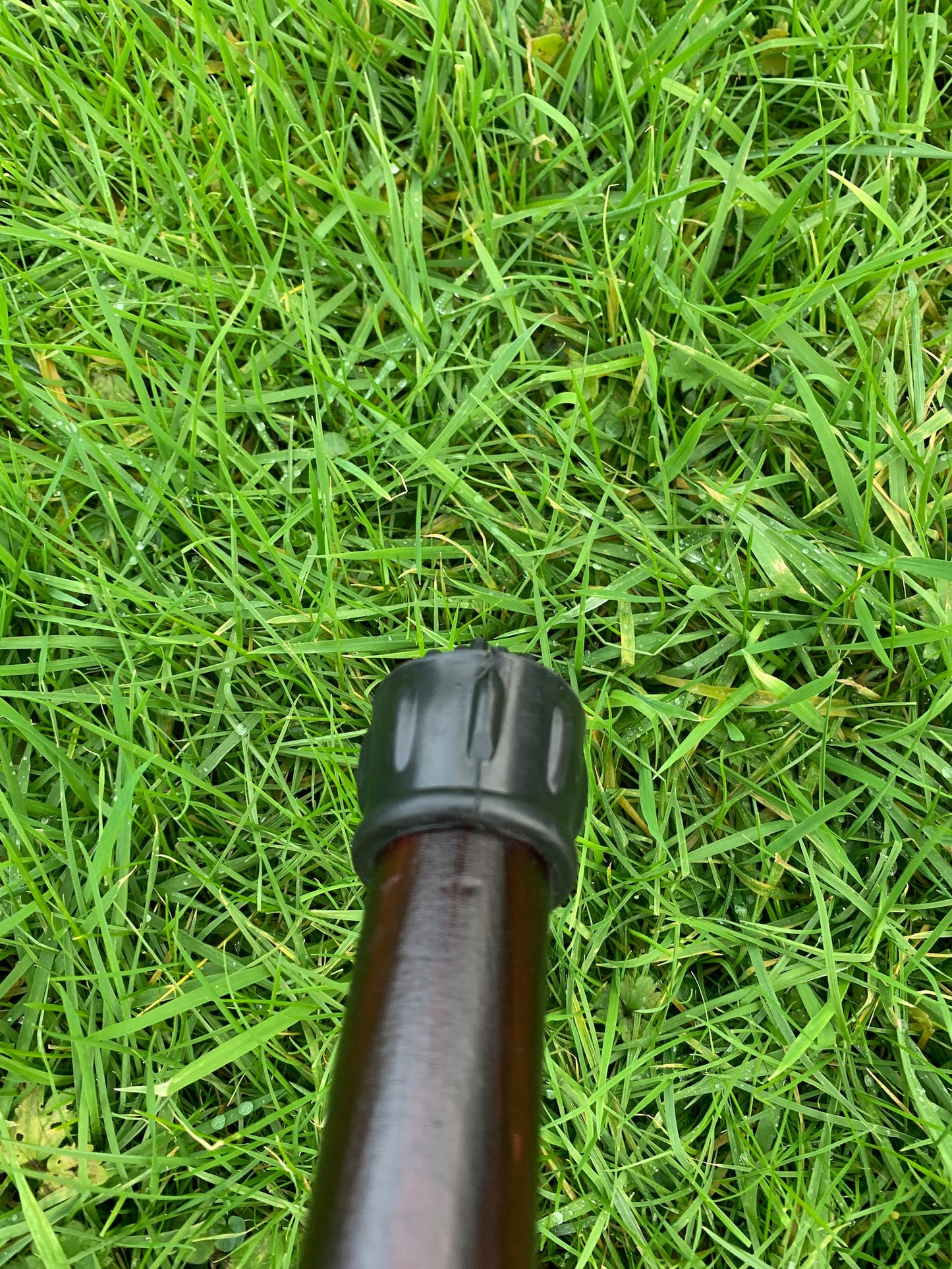 Irish Blackthorn Walking Stick | Shillelagh Cane | Wood Hiking Cane | Natural Handmade | Trekking Pole | Outdoors | Made In Ireland | Gift